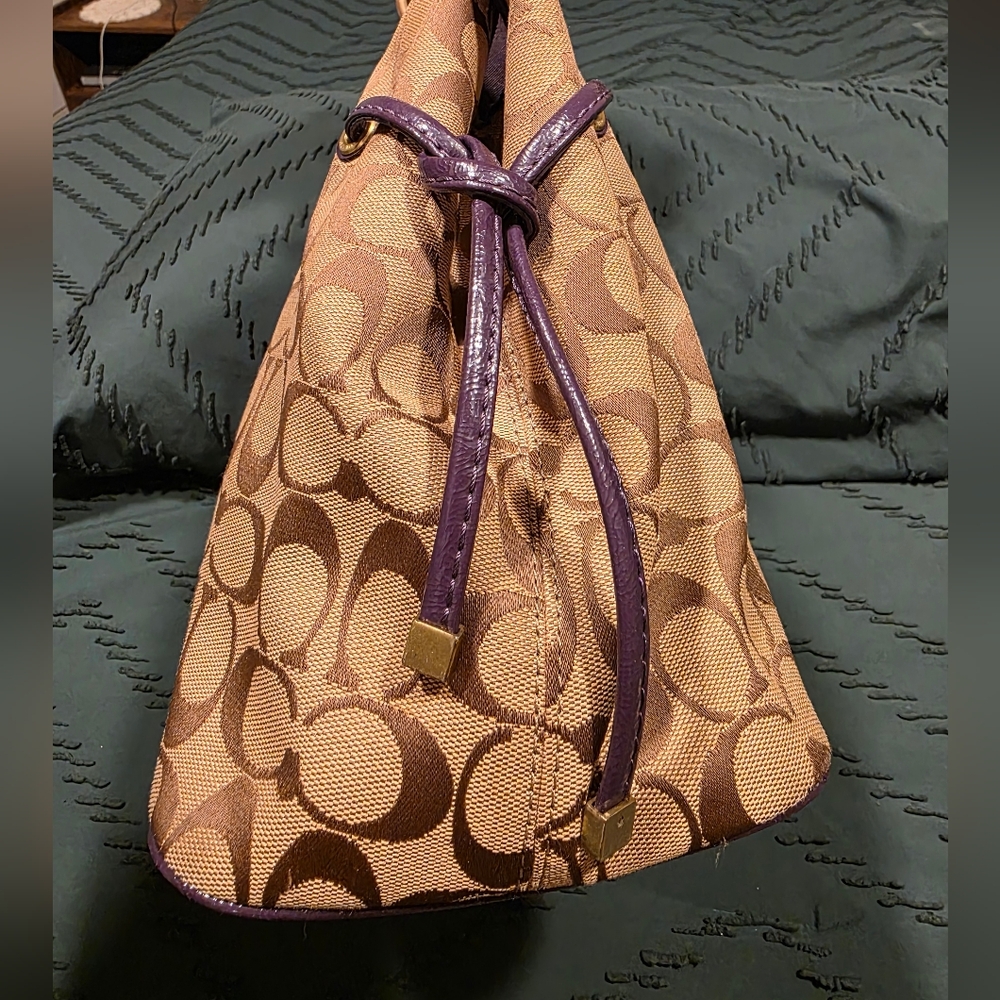 Coach Signature Python Print Carryall - image 8